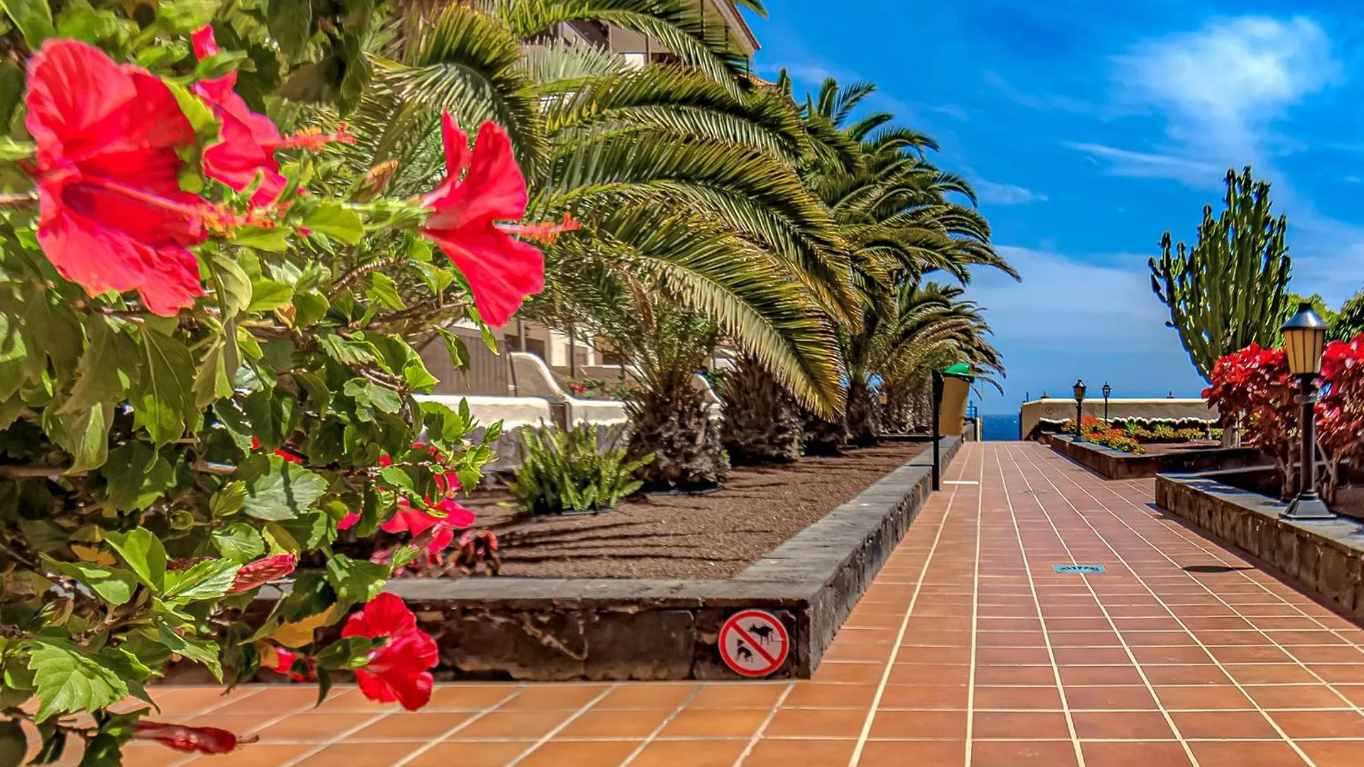 Atlantis 1 One Bedroom Apartment With Ocean View And Pool Costa Del Silencio