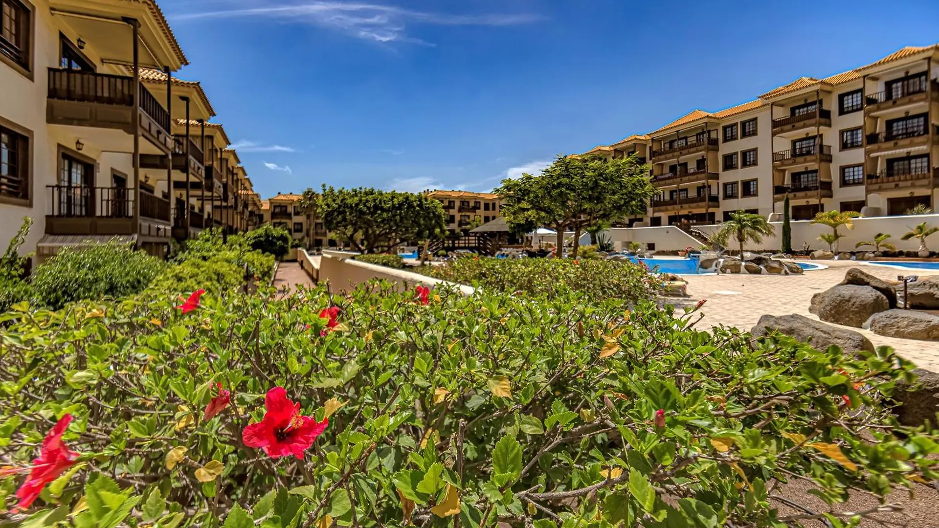 Atlantis 1 One Bedroom Apartment With Ocean View And Pool Costa Del Silencio