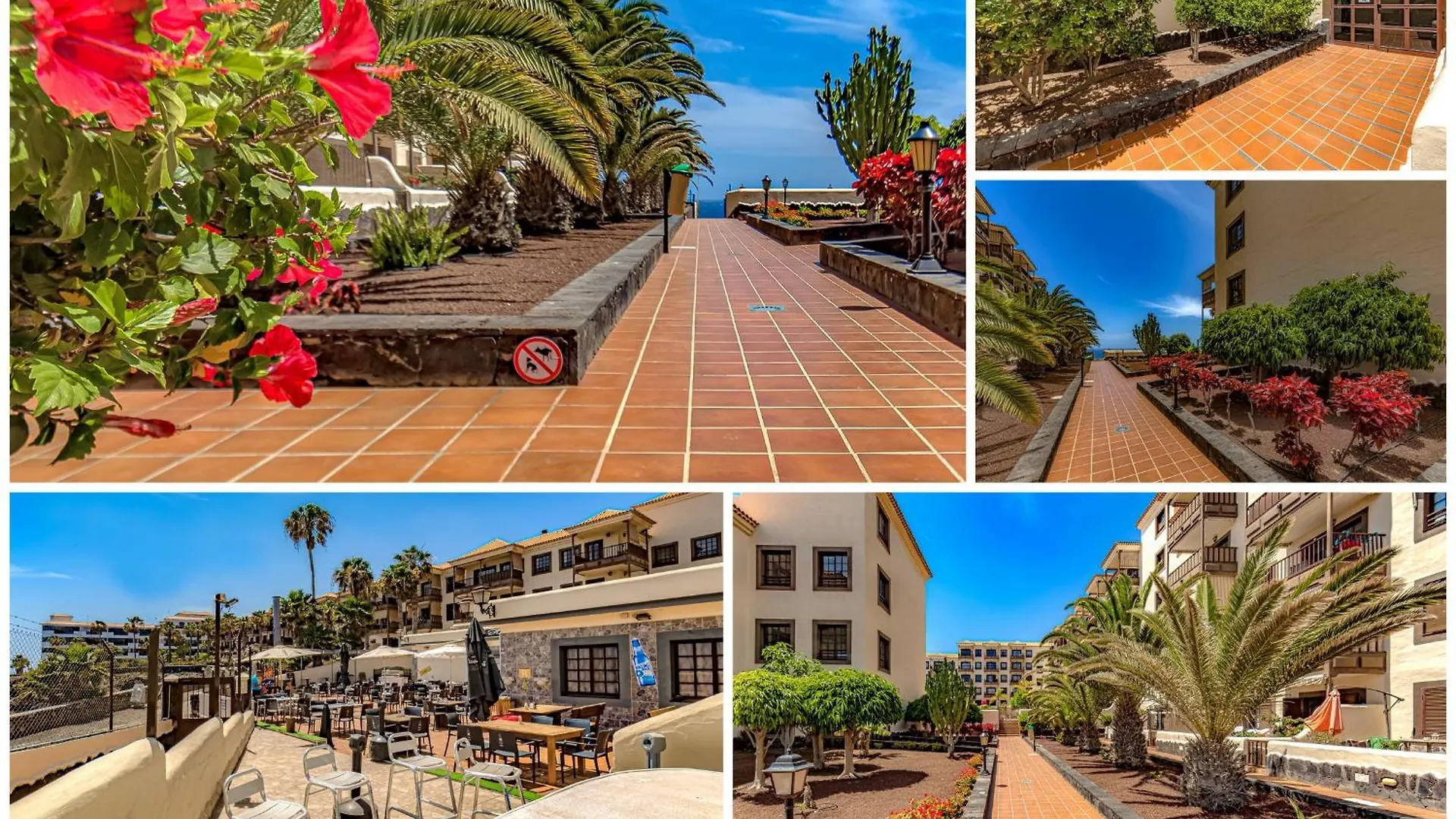 Atlantis 1 One Bedroom Apartment With Ocean View And Pool Costa Del Silencio Spanien